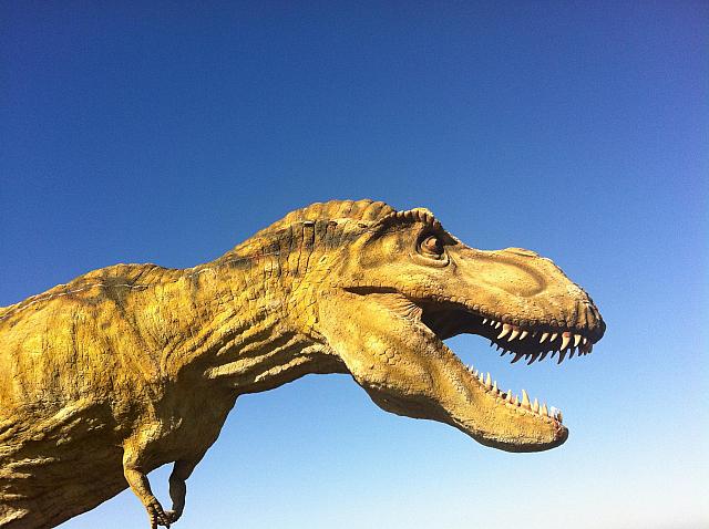 RAR!!!